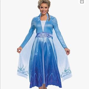 Elsa Costume - Adult